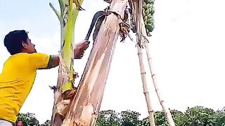 random videos 2
