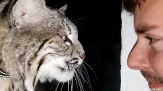 These Animals Found Their Own Way to Say “I Love You Human” Part-2 of 4
