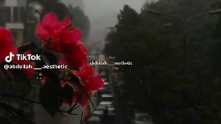 watch till end 4