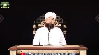 Saqib Raza Mustafai 2