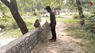 funny video 254