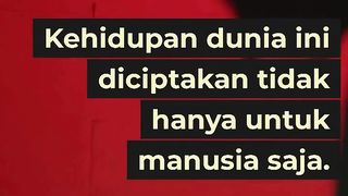 sejarah Iblis dalam Al Quran