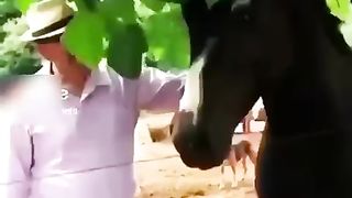 funny video 259