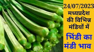 मध्यप्रदेश की विभिन्न मंडियों में भिन्डी का भाव