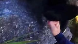 Beer Attacks on Climber