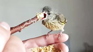 The most precious video you'll see today