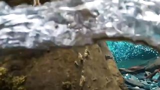 Natural audio