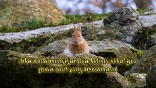 Motivation 344