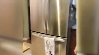 Funny animal videos 8
