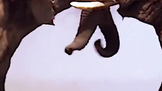 Elephant Fighting 2