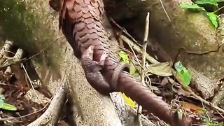 Cute baby with Mom