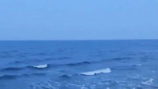愿意和我一起看海吗