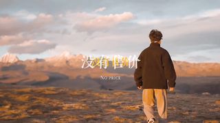 青春没用售价