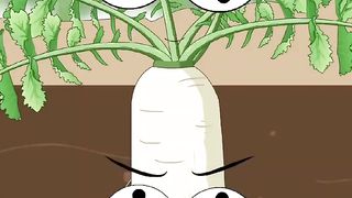 萝卜的故事