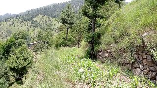 swat natural beauty to day