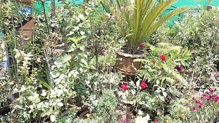 very lovely garden natural beauty