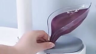 Leaf soap holder