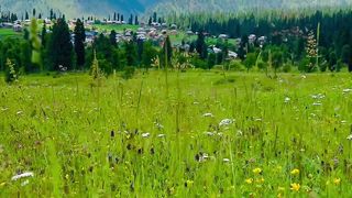 Explore the beauty of Kashmir #kashmir #febspotviral
