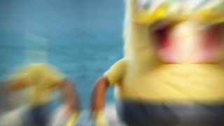 what if the animals becomes spongebob ? so cute