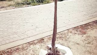 Pakistan tourism 2