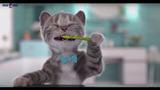 Little kitten Adventures_preschool update terbaru anak kucing masuk taman anak anak hewan