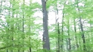Beautiful nature 58