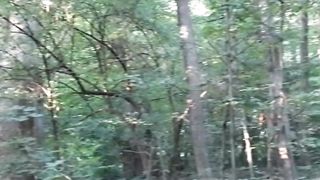 Beautiful nature 61