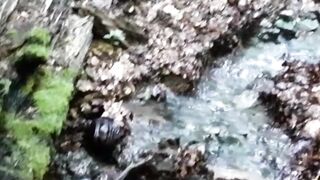 Beautiful nature 62