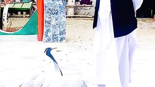 Khwaja Garib Nawaz life biography documentary Urdu/Hindi | Moinuddin Chisti RA Ajmer shareef