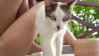 Free delivery of pet for guardianship 15