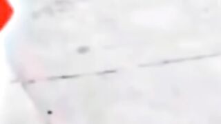 Sigma dog save the day