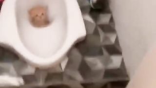 Video lucu 94