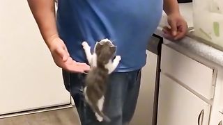 Приколи 244