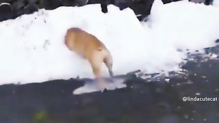 Приколи 245