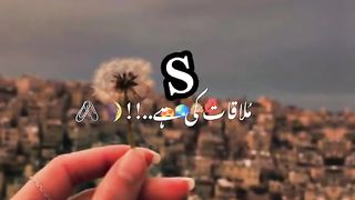 S jan