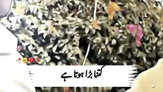 Dosti❤️???? Views problems