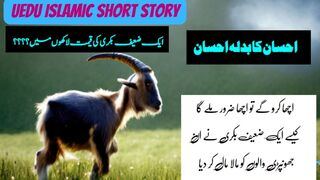Exploring the Meaning Behind | Bakri ki qeemat? | urdu Short Stories | wisdomwishes