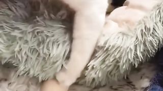 very cute 3