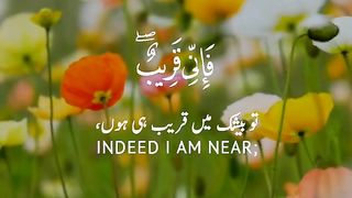 ????️عمیر تمیم????