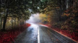 power and beauty of Nature