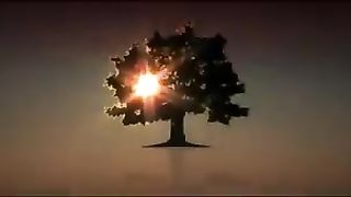 Tree house -horror movie subtitrat in română