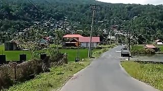 view of rice fields and minahasa mountain