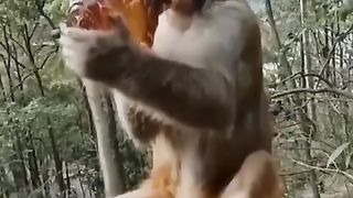 New funny video ???????? #viral #animals