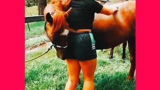 Animal lover 3