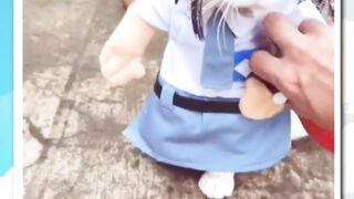 Cat cute 5