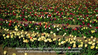 Discover the Beauty of Holland
