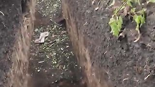 ЗАПОРОЖКО НАПРАВЛЕНИЕ