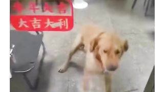 Funny memes... 3