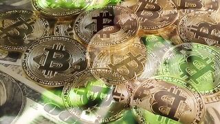 Earn 500 free Bitcoin Withdraw Every 24 Hours Bitcoin.