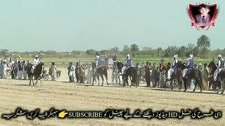 #hoers#riding in#jhamra#darbarkala#shah 3